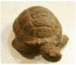 Stone turtle